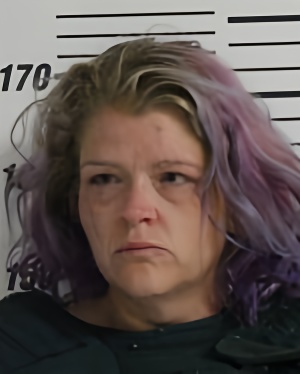 Mugshot of VAN NORTRICK SHANNA LEIGH