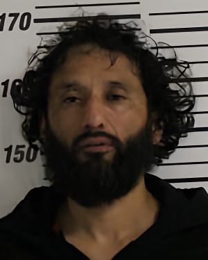 Mugshot of INSUA JESSE TRUMAN SR