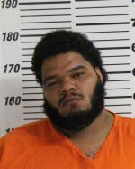 Mugshot of HARMON LAWRENCE LEVELL