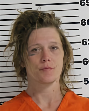 Mugshot of TURNER KAYLA NICHOLE
