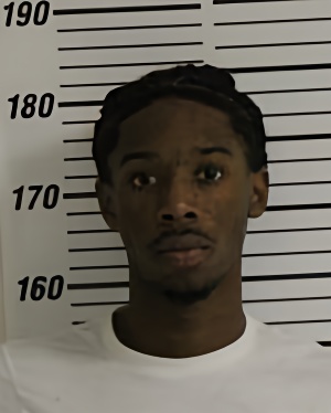 Mugshot of BURGE TERAL TEMERICK