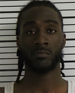 Mugshot of PHELAN ANTONIO AMORRIS