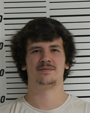 Mugshot of WALKER MICHAEL JAMES