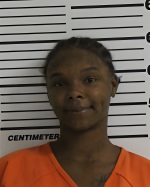 Mugshot of MILLER TERRIONNA DALAVEONNA