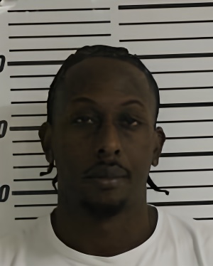 Mugshot of WALKER BRINSLEY MARSENA