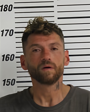 Mugshot of BURMEISTER RONALD WAYNE JR