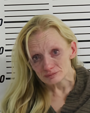 Mugshot of REESE LEA DANNETTE