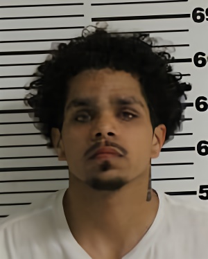 Mugshot of WARD DEDRIC JOSEPH