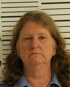 Mugshot of LILLEY DEANA MARIE