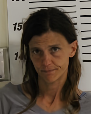Mugshot of STEADMAN KARA NICOLE