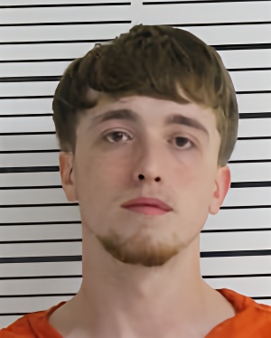 Mugshot of WILSON JACKSON JAMES