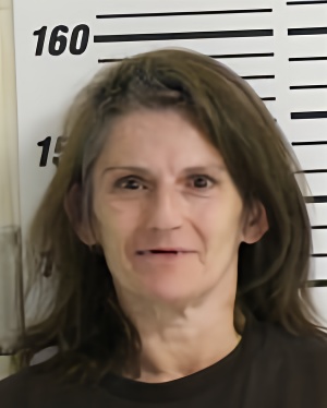 Mugshot of KING PENNY ANN