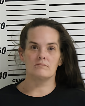 Mugshot of REISDORF VANESSA LYNN