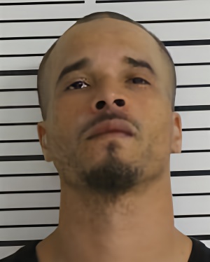 Mugshot of WILLIAMS TREMAYNE LAMON SR