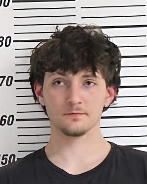 Mugshot of LYLES PEYTON RYAN