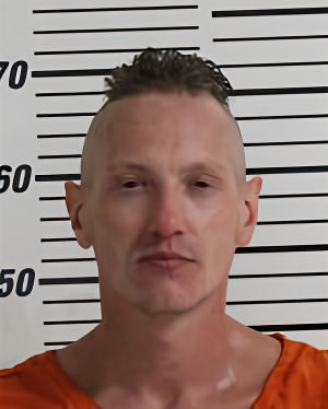 Mugshot of DWYER LUCAS MICHAEL