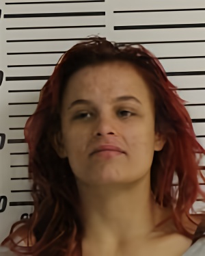 Mugshot of VINCENT MAISY LEE