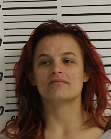 Mugshot of VINCENT MAISY LEE