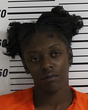 Mugshot of HOSKINS DANIELLE MONIQUE