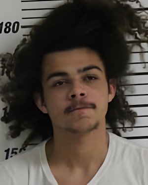 Mugshot of THOMAS KEEGAN ALLAN