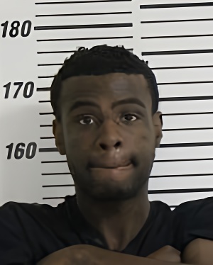 Mugshot of DEHINBO OLUFEMI JERNERE