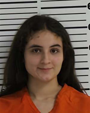 Mugshot of HERNANDEZ GONZALEZ ZUZEL LUZMAR