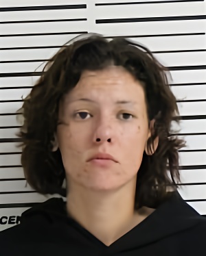 Mugshot of ARCHER EMILY RAE