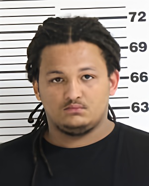 Mugshot of JOYCE DEMETRIUS FREDRICK