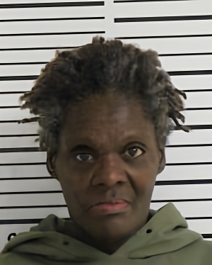Mugshot of COLEMAN SYLVIA DIANE