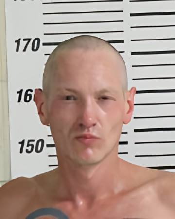 Mugshot of DWYER LUCAS MICHAEL