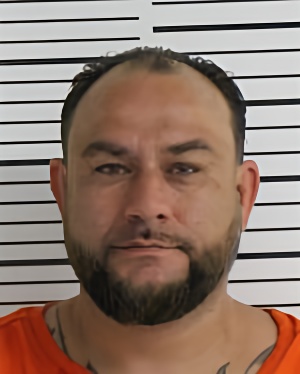 Mugshot of GOTT DAVID WAYNE