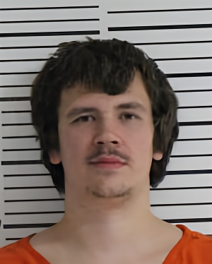 Mugshot of WALKER MICHAEL JAMES