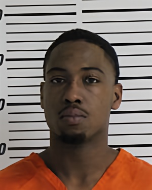 Mugshot of ROBINSON RAYMOND LEE JR