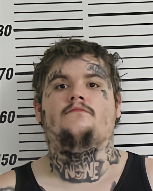 Mugshot of WISE BRANDON MICHAEL