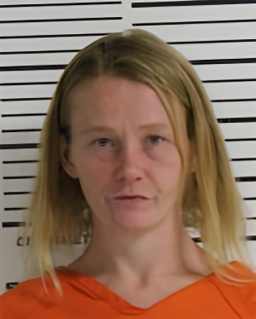 Mugshot of DAVIS BREANNA MOLLY