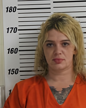 Mugshot of SAMMON ASHLY MARIE