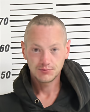 Mugshot of DWYER LUCAS MICHAEL