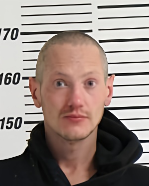 Mugshot of DWYER LUCAS MICHAEL