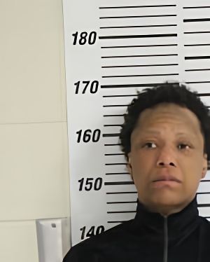 Mugshot of HOWARD DARNAE MECHELLE