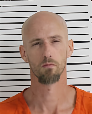 Mugshot of GIBSON NEALY BRUCE
