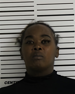 Mugshot of WINDHAM SPEARS KRYSTAL ELIZE