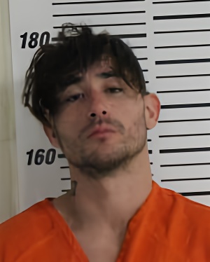 Mugshot of LARSON-SMITH LOGAN JOHN