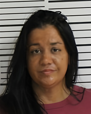 Mugshot of GARCIA JILL DANIELLE