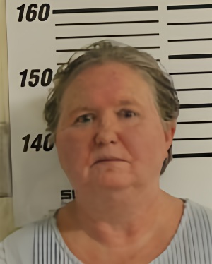 Mugshot of RAINES MICHELLE DAWN