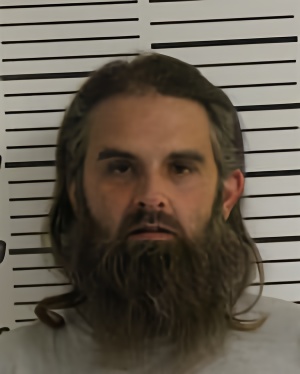 Mugshot of HENDER-WALLERICH BENJAMIN ALLEN