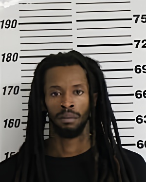 Mugshot of BOURRAGE RAYSHAWN G