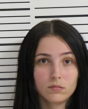 Mugshot of BROWN SUMMER