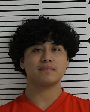 Mugshot of MARCELENO FREDDY