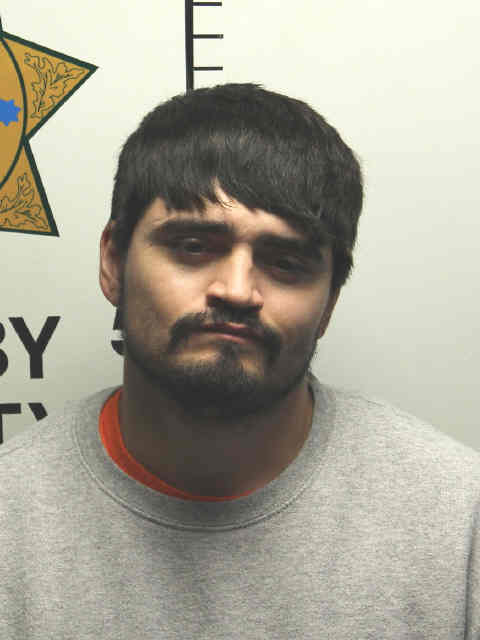 Mugshot of BRIAN JAMES TREVINO