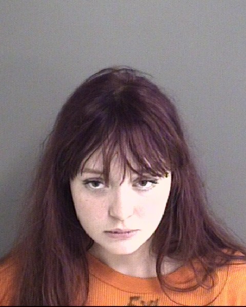 Mugshot of GILLIAN CLAIRE LUNDE